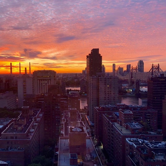 Meet your Posher, Angela - Picture 4 of 4